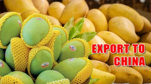 Bangladesh to export mangoes to China for the first time on May 28