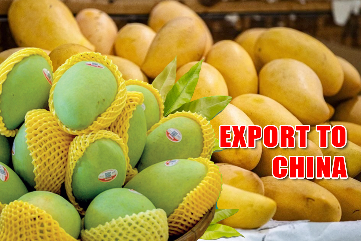 Bangladesh to export mangoes to China for the first time on May 28